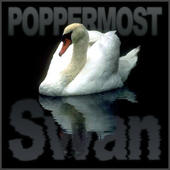 Poppermost - Swan